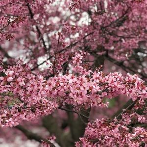 Meet your Posher, Kristina